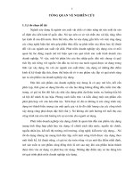 Nghiên cứu các yếu tố tác động đến phát triển doanh nghiệp xây dựng tỉnh Sóc Trăng