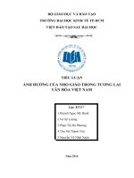 Tiểu luận môn triết học ảnh hưởng của nho giáo trong tương lai văn hóa việt nam 