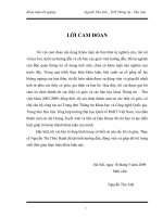 Khóa Luận Tốt Nghiệp Ngành Thông Tin Thư Viện