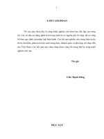 Phát triển Dịch vụ viễn thông công ích ở Việt Nam trong bối cảnh hội nhập kinh tế Quốc tế