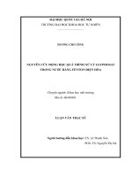 Nghiên cứu động học của quá trình xử lý glyphosate trong nước bằng fenton điện hóa 