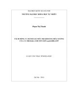 Tách dòng và đánh giá mức độ khoáng hóa xương của cá medaka chuyển gen rankl 