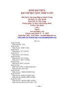 KINH ÐẠI THỪA ÐẠI TẬP ÐỊA TẠNG THẬP LUÂN