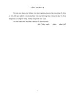 Hoạch định chiến lược phát triển nguồn nhân lực cán bộ Đoàn TNCS Hồ Chí Minh các cấp thành phố Hải Phòng giai đoạn 2015-2025