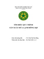 Tìm hiểu quy trình sản xuất dứa lạnh đông IQF
