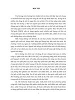 tách và làm giàu Pb bằng phương pháp chiết trắc quang, sử dụng đá ong làm nguyên liệu chiết