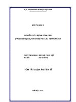 Nghiên cứu bệnh đốm đen (Phaeoisariopsis personata) hại lạc tại Nghệ An (Tóm tắt LA tiến sĩ)