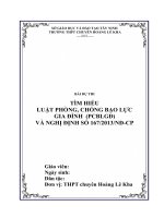 Bài Dự Thi Tìm Hiểu Luật Phòng, Chống Bạo Lực Gia Đình
