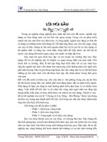 Thuyết minh phần kiến trúc đồ án tốt nghiệp khoa xddd vs cn DHXD