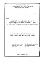 Nghiên cứu tạo chế phẩm viên nén từ nhân hạt neem ( azadirachta indica ajuss) để phòng trừ  ngài gạo ( corcyra cephalonica st) 