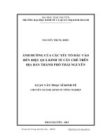 Ảnh hưởng của các yếu tố đầu vào đến hiệu quả kinh tế cây chè trên địa bàn thành phố thái nguyên 