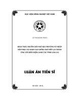 Khai thác nguồn gen ngô địa phương và nhập nội phục vụ chọn tạo giống ngô nếp lai thích ứng với điều kiện canh tác tỉnh Lào Cai (LA tiến sĩ)
