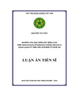 Nghiên cứu đặc điểm gây bệnh của nấm Isaria javanica (Friederichs  Ball) Samson  HywelJones ký sinh sâu khoang ở Nghệ An (LA tiến sĩ)