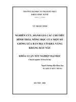 Nghiên cứu, đánh giá các chỉ tiêu hình thái nông học của một số giống lúa bản địa có khả năng kháng rầy nâu