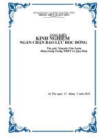 Sáng Kiến Kinh Nghiệm Ngăn Chặn Bạo Lực Học Đường