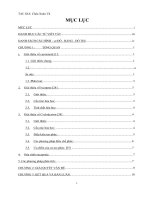 Khảo sát độ bền và phương pháp bền hóa hợp chất caroteniod từ gấc (momordica cochinchinesis (lour ) spreng) 