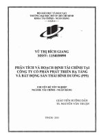 Phân tích và hoạch định tài chính tại công ty cổ phần phát triển hạ tầng và bất động sản thái bình dương (PPI) 