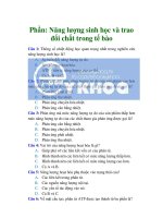 TRẮC NGHIỆM NĂNG LƯỢNG và TRAO đổi CHẤT TRONG tế bào 