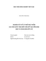Nghiên Cứu Xử Lý Phế Phụ Phẩm Sau Sản Xuất Tinh Bột Sắn Để Tạo Cồn Sinh Học Và Phân Bón Hữu Cơ