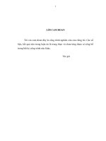 Nghiên cứu điều trị gãy khung chậu không vững bằng khung cố định ngoài