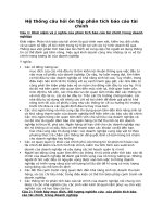 Hệ thống câu hỏi ôn tập phân tích báo cáo tài chính