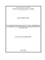 Xác định đồng thời thành phần caffeine, theobromine và theophylline trong một số loại chè phân bố ở miền bắc Việt Nam