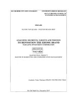 Analyzing segments targets and position to reposition the ehome brand nam long investment corporation