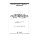 Nghiên cứu mối liên quan giữa tổn thương động mạch vành với một số yếu tố nguy cơ marker viêm ở bệnh nhân bệnh động mạch vành mãn tính