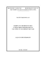 Nghiên cứu mô hình tổ chức và hoạt động kinh doanh của các công ty tài chính ở Việt Nam.