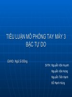 Tiểu luận mô phỏng cánh ta robot ba bậc tự do