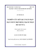 Nghiên cứu kết quả ngắn hạn đặt Stent hẹp động mạch thận do xơ vữa