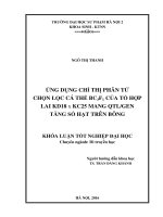 Ứng dụng chỉ thị phân tử chọn lọc cá thể BC3F1 của tổ hợp lai KD18 x KC25 mang QTL gen tăng số hạt trên bông 