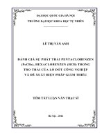 Đánh giá sự phát thải Pentachlorobenzen (PeCBz) và Hexachlorobenzen (HCB) trong tro thải của lò đốt công nghiệp và đề xuất biện pháp giảm thiểu