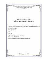 Sáng Kiến Kinh Nghiệm Một Số Kinh Nghiệm Trong Quản Lí Trường Học