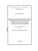 nghiên cưu hiệu quả điều trị bệnh loét tá tràng có helicobarcter pylori bằng hai phác đồ