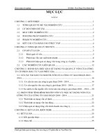 đánh giá hiệu quả sử dụng vốn của công ty cổ phần đầu tư vạn phúc gia 