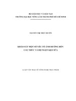 Khảo Sát Một Số Yếu Tố Ảnh Hưởng Đến Cấu Trúc Và Độ Ngọt Kẹo Sữa
