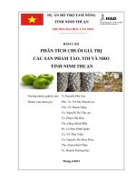 PHÂN TÍCH CHUỖI GIÁ TRỊ TÁO NHO NINH THUẬN