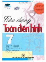 Các dạng toán điển hình 7