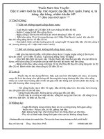 Nam Tiên Thần Dược Chữa Đau Dạ Dầy, Trào Ngược Dạ Dầy, Đau Thượng Vị