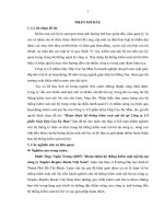 Hoàn thiện hệ thống kiểm soát nội bộ tại công ty cổ phần giày dép cao su màu 