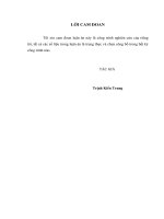 NGHIÊN CỨU NỒNG ĐỘ BETA-CROSSLAPS, HORMONE TUYẾN CẬN GIÁP HUYẾT THANH Ở BỆNH NHÂN BỆNH THẬN MẠN