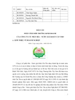 PHÂN TÍCH MÔI TRƯỜNG KINH DOANH CỦA CÔNG TY CỔ  PHẦN BIA – NƯỚC GIẢI KHÁT CẦN THƠ