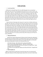 Nội dung và giá trị lịch sử của phương châm kháng chiến chống thực dân Pháp xâm luwocj (1946954)