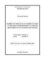 Nghiên cứu phân lập, xác định cấu trúc và thử hoạt tính sinh học của một số dịch chiết từ lá cây kim giao núi đất 