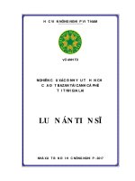 Nghiên cứu xác định yếu tố hạn chế của đất bazan tái canh cà phê tại tỉnh gia lai 
