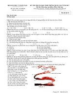 Đề thi thử nghiệm THPT QG lần 2 năm 2017 môn sinh học