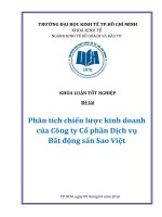 Phân tích chiến lược kinh doanh của công ty cổ phần dịch vụ bất động sản sao việt