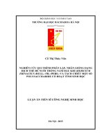 NHÂN GIỐNG DẠNG DỊCH THỂ ĐỂ NUÔI TRỒNG NẤM ĐẦU KHỈ (HERICIUM ERINACEUS