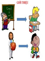 SỬ DỤNG CÁC HOẠT ĐỘNG TOÁN CÓ BIỂU DIỄN TRỰC QUAN TRONG THỰC HÀNH TƯ DUY CỦA HỌC SINH- FILE BẢO VỆ LUẬN VĂN THẠC SĨ